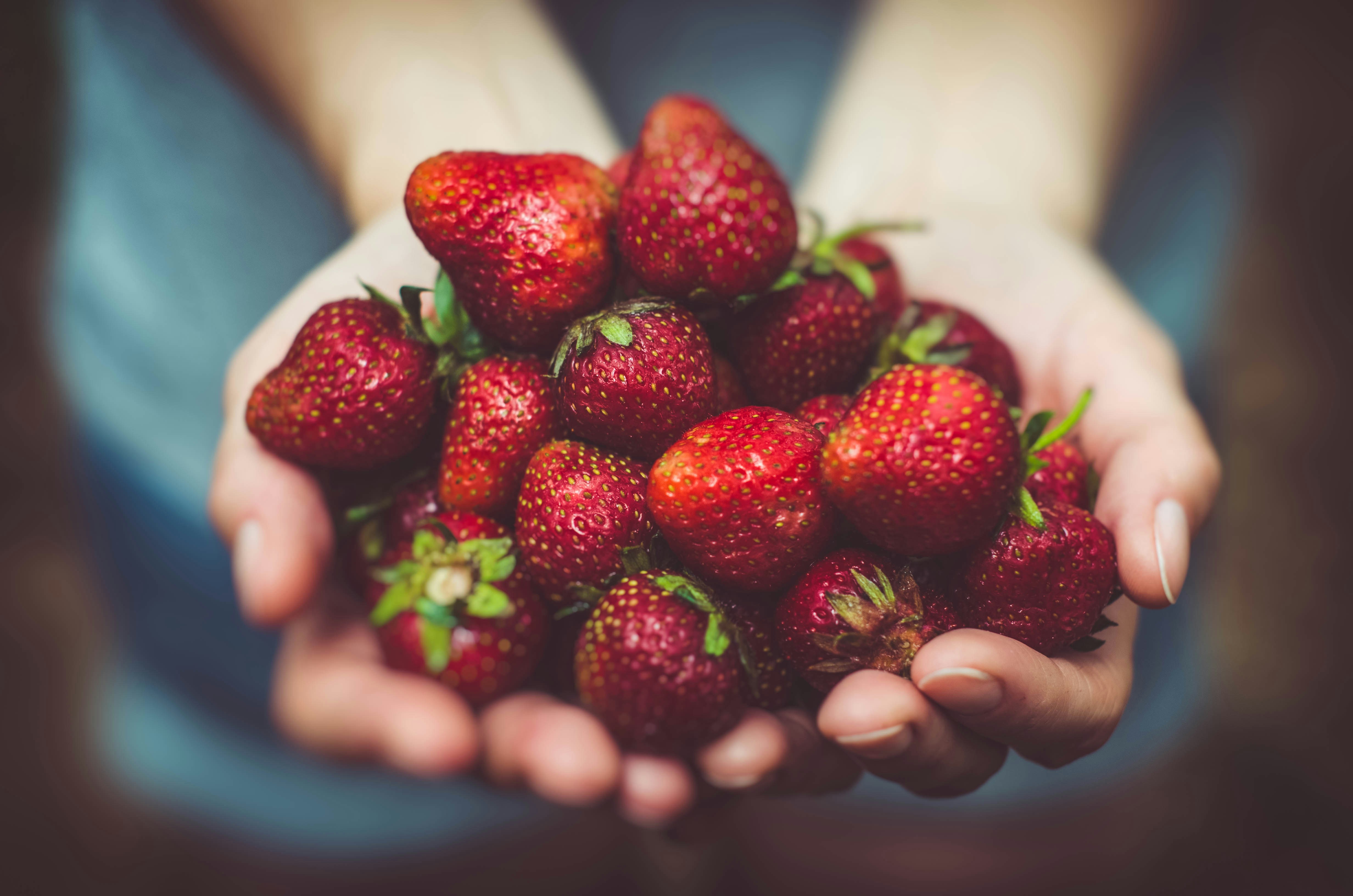 Poignée de Fraises. Photo par Jeremy Bishop (Unsplash)