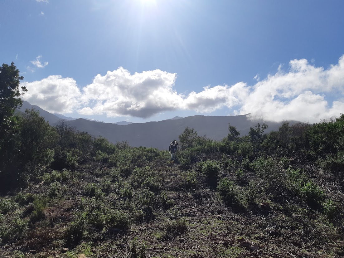 Quel outil statistique choisir