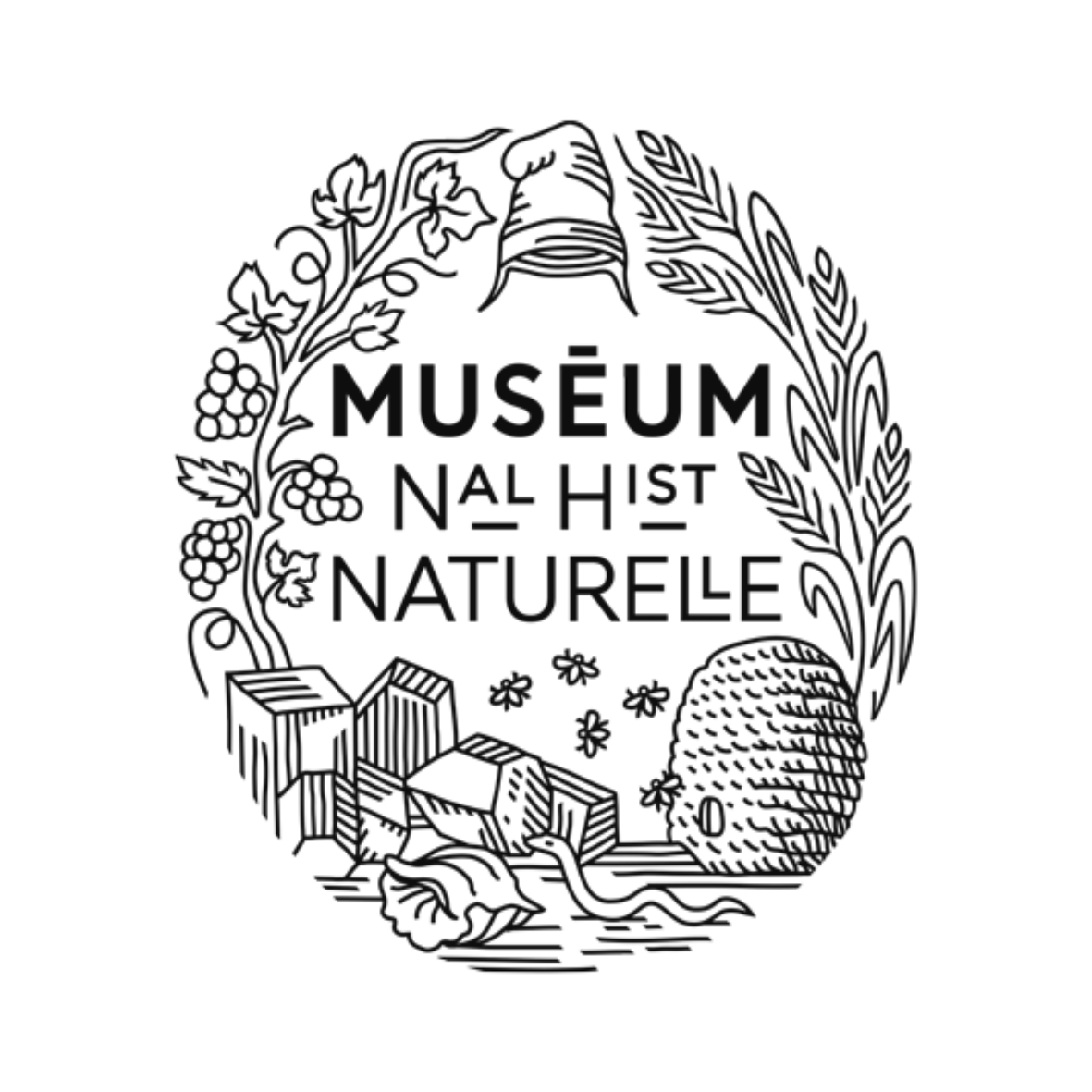 Museum National d'Histoire Naturelle logo