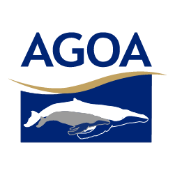 Logo AGOA